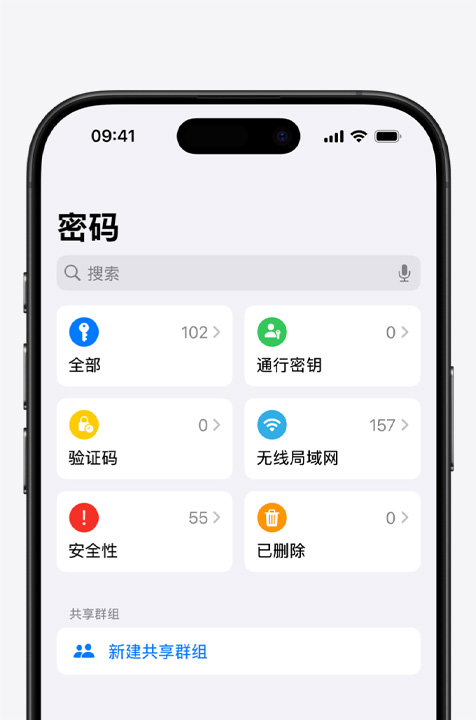 iPhone 屏幕上显示密码 app 的界面。